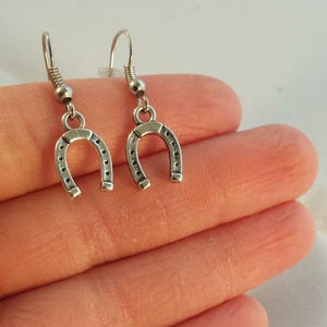 Silver Horseshoe Earrings Hypoallergenic Hooks!